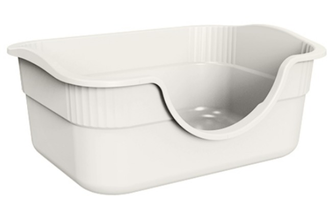Open Top Cat Litter Box Low Entry Plastic Kitty Litter Pan for Kittens and Senior CatsWhy Your Pet W